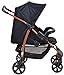 Burigotto Ecco Carrinho de Bebê, Preto, Até 15 kg
